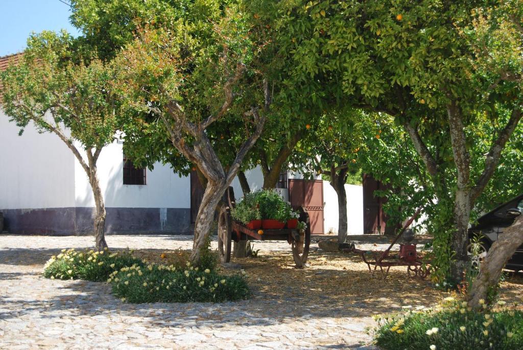 Hôtel Quinta De Tourais à Lamego Extérieur photo