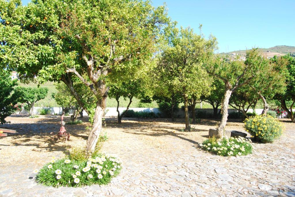 Hôtel Quinta De Tourais à Lamego Extérieur photo